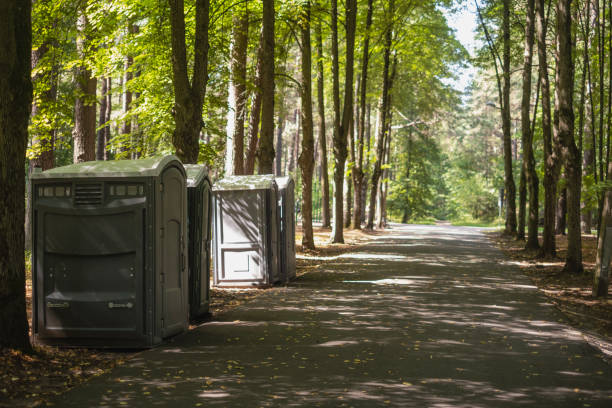 Best Tree Trimming and Pruning  in Soldotna, AK